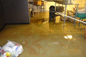 Coffee Shop Sewage in Canterbury