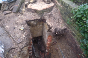 Root Damage To Drains In Bromley Kent