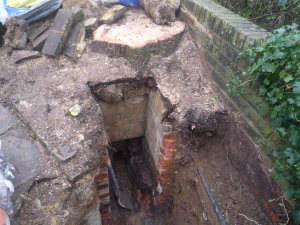 Root Damage To Drains In Bromley Kent