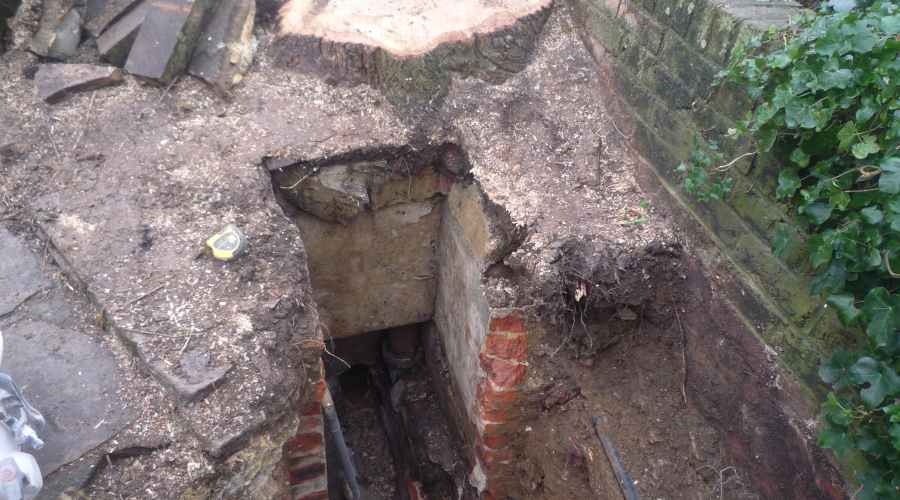 Root Damage To Drains In Bromley Kent